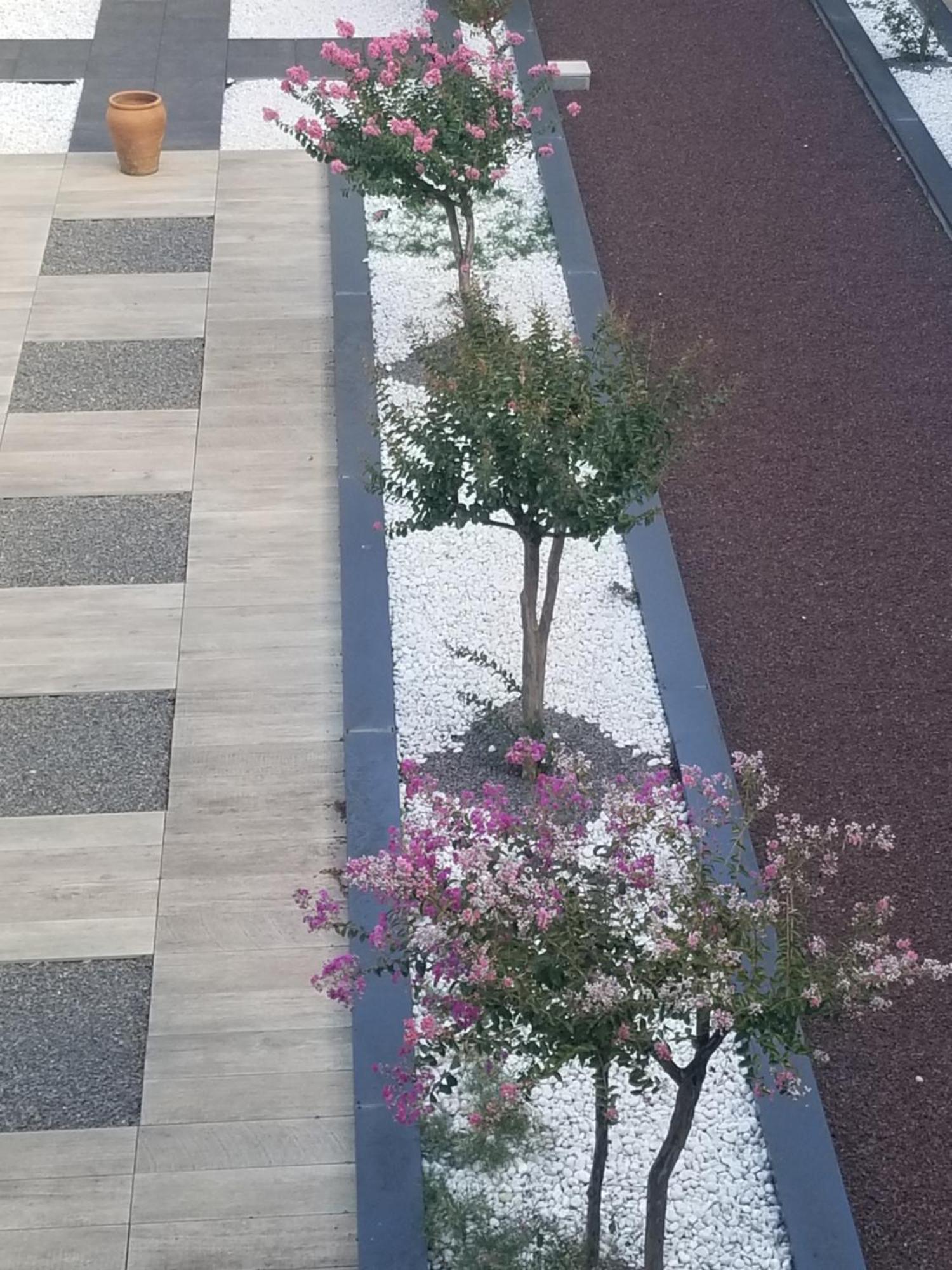 Antony Real Bed and Breakfast Οράνζ Εξωτερικό φωτογραφία
